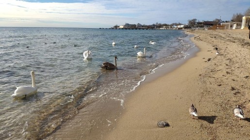 ������ �� 23 ������� 2025 ���� � ����� � �����������: ������ ���������� �� 7 ��������