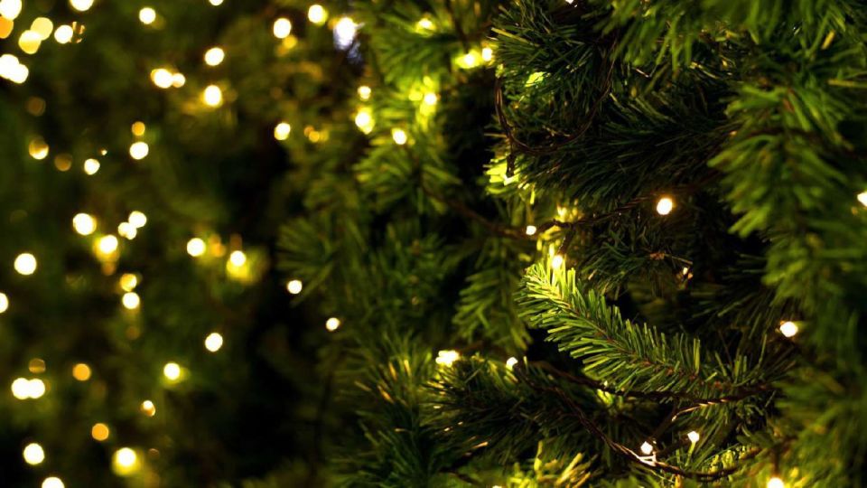 ������������������� � ����������� ���