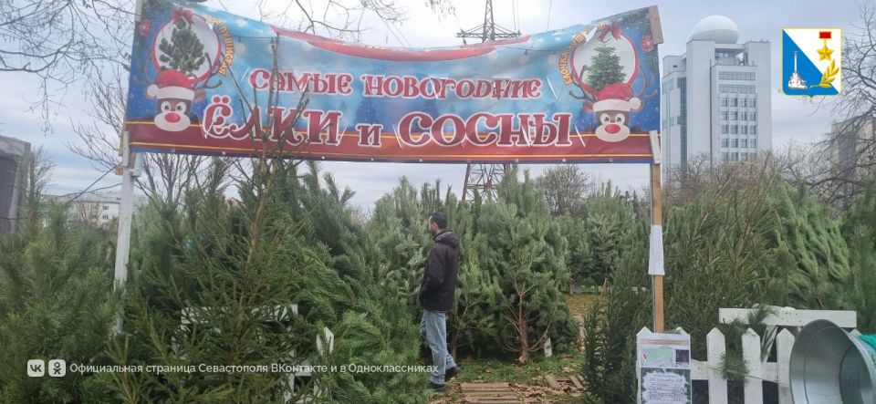 � ����������� ������ ������ 20 ����������� ������� �������