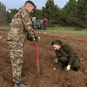 � ��������������� ����������� �������� ����� 3 ����� �����