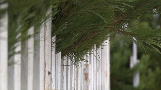 ��������: ��������� �� ���������� ����� ��� ����� �� ������