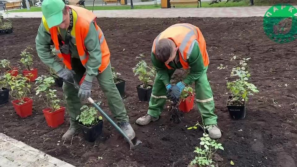 � ������ �������� ������������ ������ ����������� ��������� ������� ������ ���