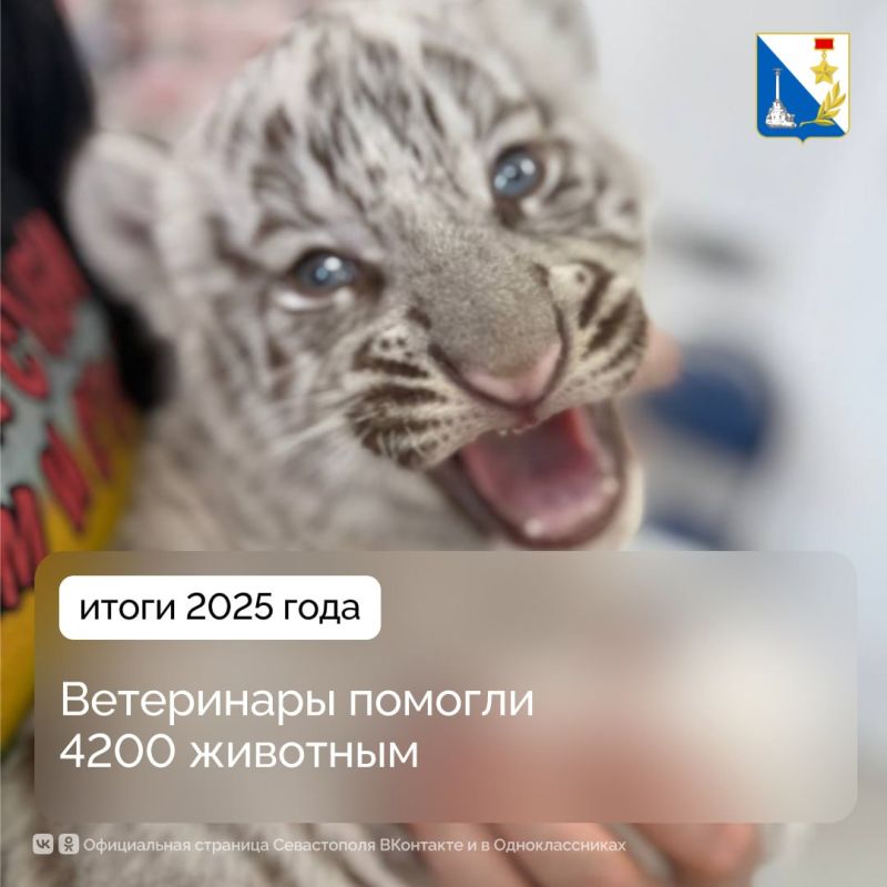 В севастопольских госветклиниках за год помогли 4200 животным
