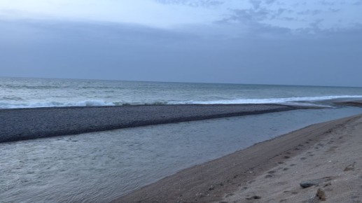 ������� ����� � ����� ��������� �� �����������