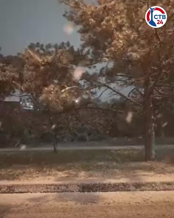 Госавтоинспекция Севастополя просит водителей быть внимательнее на дорогах