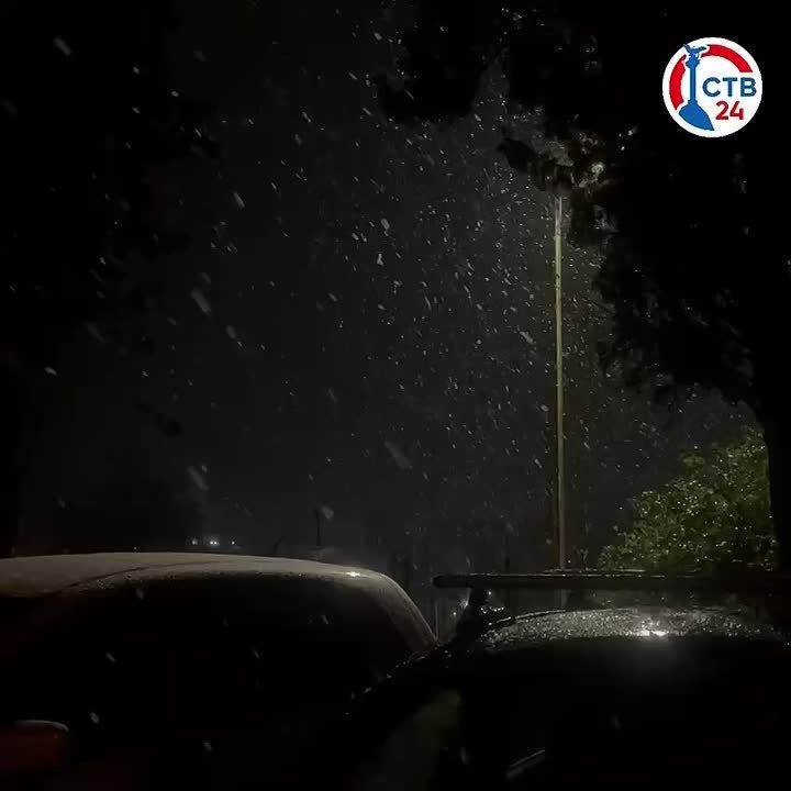 � ����������� ������ ������������ ����