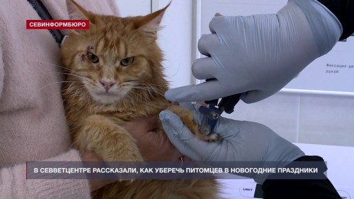 � ������������ ����������, ��� ������� �������� �� ������� ���������� � ���������� ���������