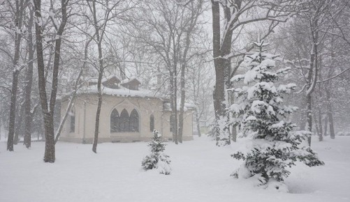 ���� ��������� �� �����: ������� ���������� ����������� � ������� ������