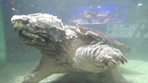 �������� � ����������� ��������� �������� �������