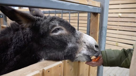 ����� ����� ��������� � ���������� ��������