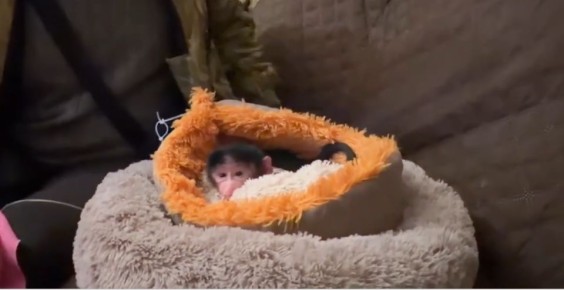 � ����� �������� �������� ��������� � ����� �����