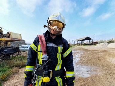 ������� ����������� �������� � ������������ ������ �����������