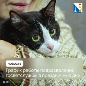 ������ ������ ������������ � ���������� ����������� ���