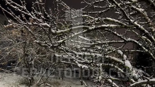 �������� ������������� ���������� �� ��������� ������ ����������