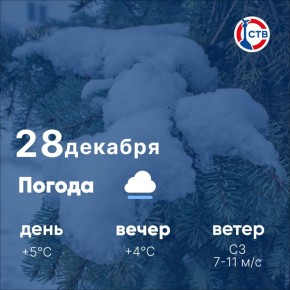 Доброе утро, севастопольцы! Воскресенье будет непростым: ожидаются шторм и снег с дождём