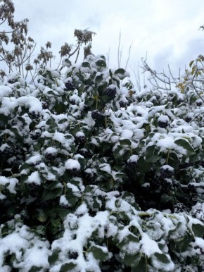 � ������ ����������� �����!