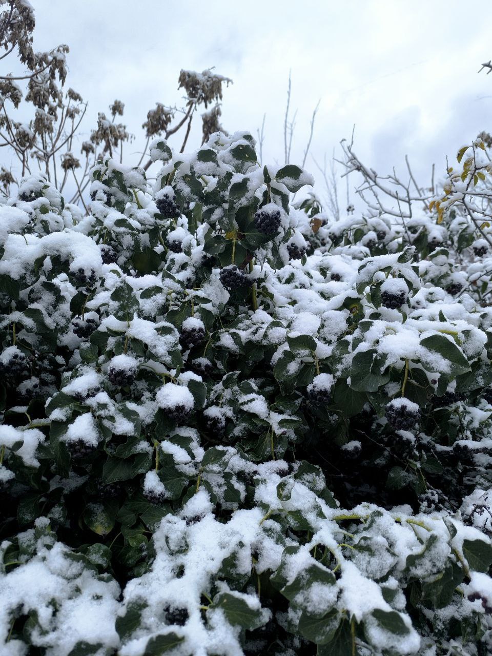 С добрым декабрьским утром!