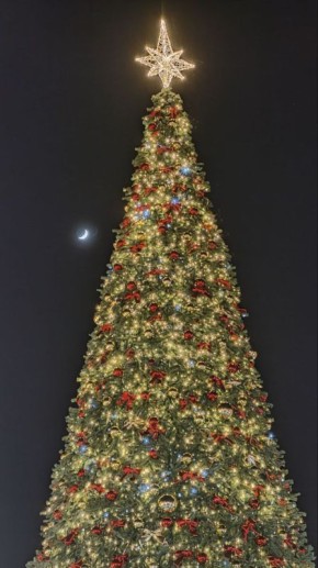 Предновогодний Новый Херсонес от Нюши