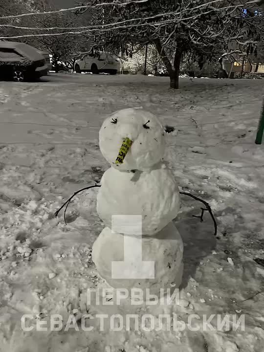 � ��������������� ������ ��������� ���������