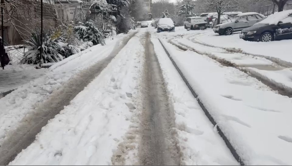 ���������: �������� �� ������� ������� �������