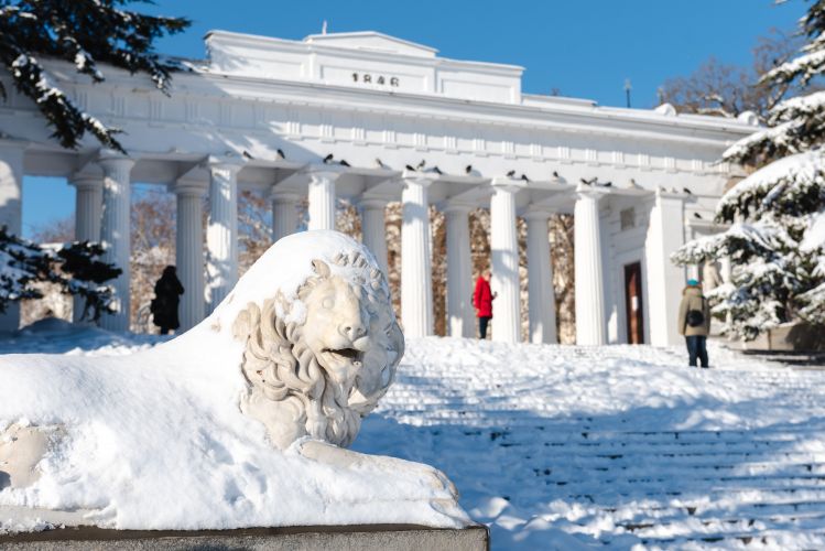 ���������� ������������ ���� ������ ��� ���� ����� 1950-� �����