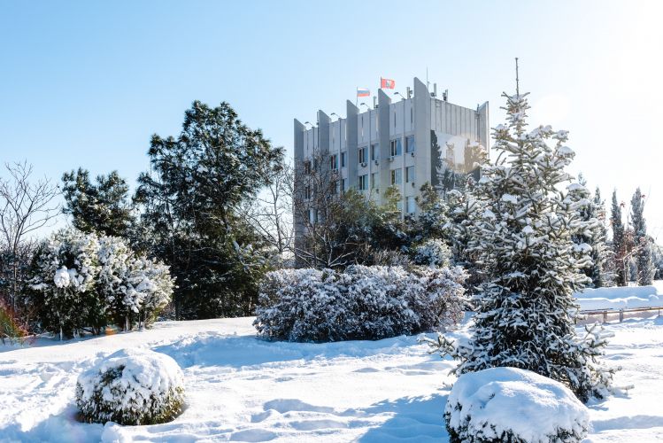 � ����������� �������� ������ ����������������� �������