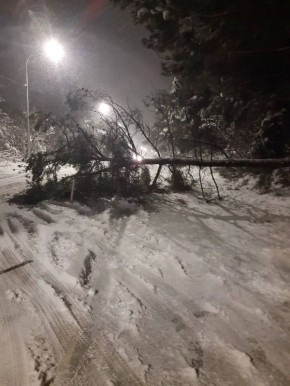 ���������� �������� � ����������� � �������������� ������ ��������� �����������