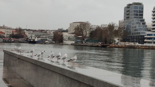 ������ �� 29 ������� 2025 ���� � ����� � �����������: ������ ���������� �� 5 ��������