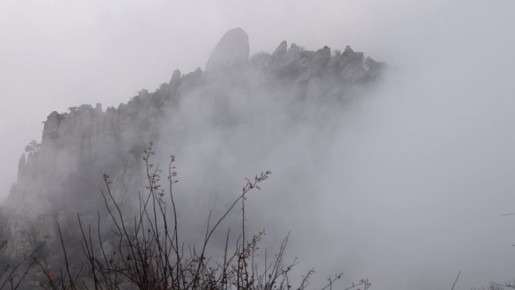 � �������� ����� ��������� �������� ���������