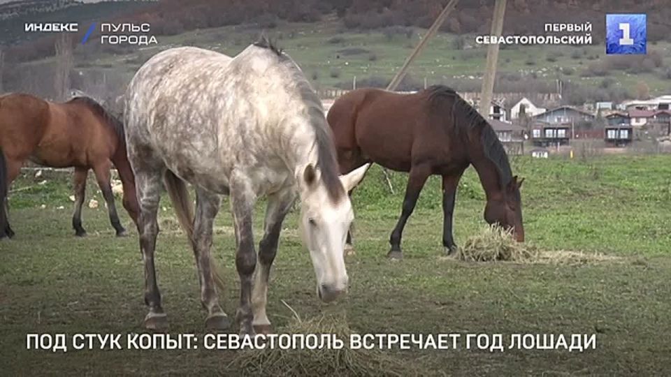 ����������� ��������� ����� ��� ��� ���� �����