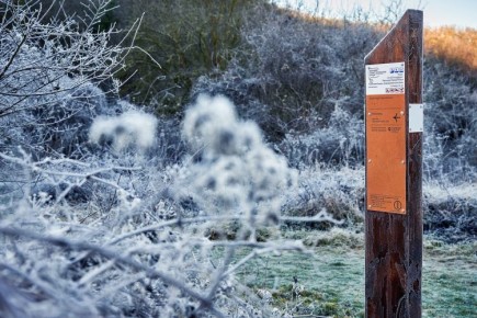 ��������������� ������ ����� ������ � 2025 ����: ���� ������������� ����������, ���������� ���������� ���������� � ������������ �������