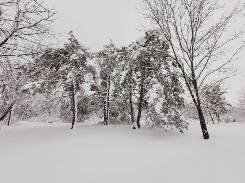 � ��������������� ����� ����������� ������ ���������� ������� ������������� ��������