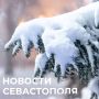 Михаил Развожаев: Итоги минувшего дня:. Провел оперштаб на базе нашего «Севастопольского Автодора», затем на заключительном в этом году заседании Правительства Севастополя обсудили с подчинёнными вопросы ликвидации...