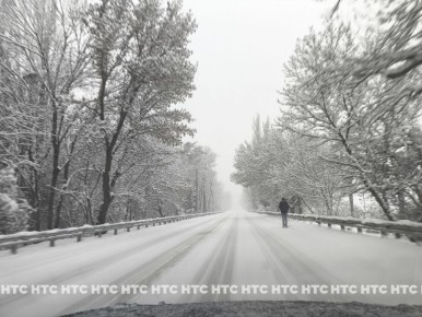 #���_�����. ���������� ������� ������� ����������� �������� �����