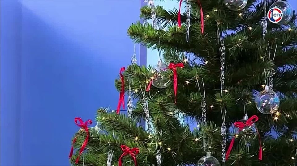 Начинаются телечудеса: новогодний эфир на телеканале СТВ