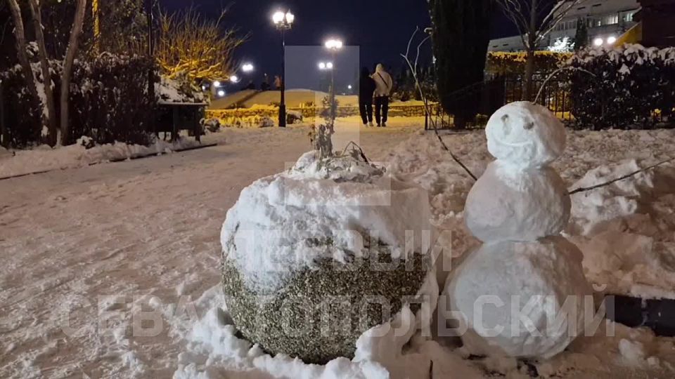 Вечерние зимние забавы на Столетовском проспекте