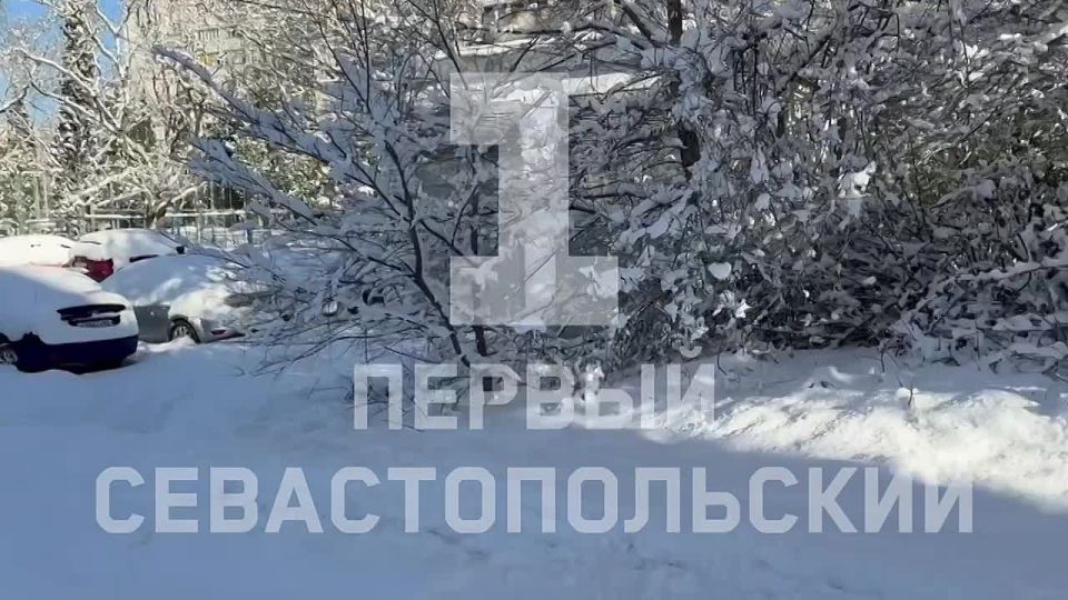 Из-за снежных заносов на проспекте Победы не ходят троллейбусы