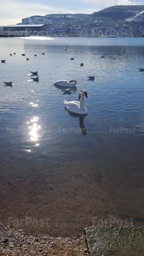 � ����� ��������� ��������� ������