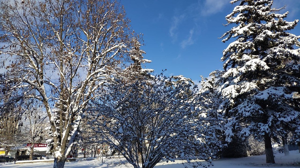 Погода на 2 января 2025 года в Крыму и Севастополе: воздух прогреется до 8 градусов