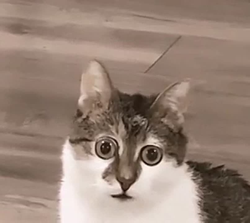 �� ����� �������� ������ � 2026 ���� ��������� ����