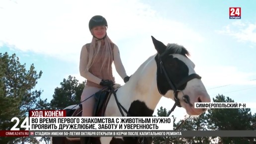 Пастбищное содержание лошадей практикуют в одном из конных клубов Севастополя