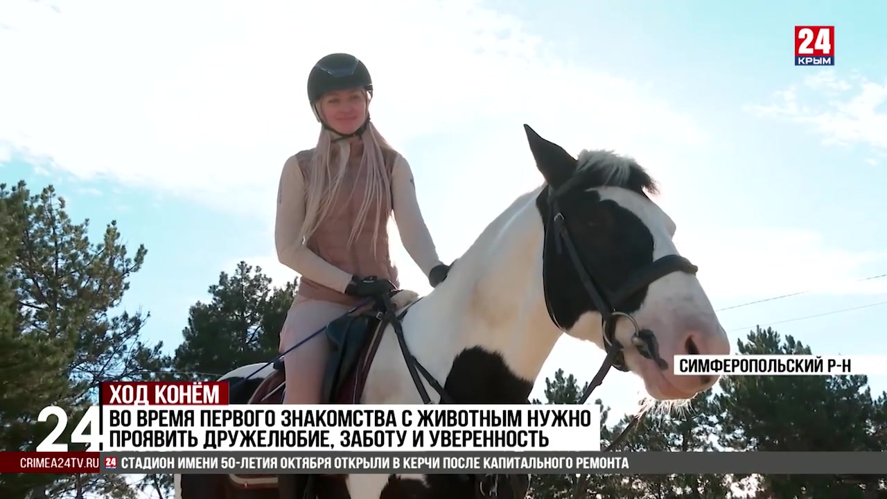 Пастбищное содержание лошадей практикуют в одном из конных клубов Севастополя