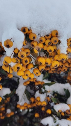 С добрым утром, друзья!. Ночью, днем дождь