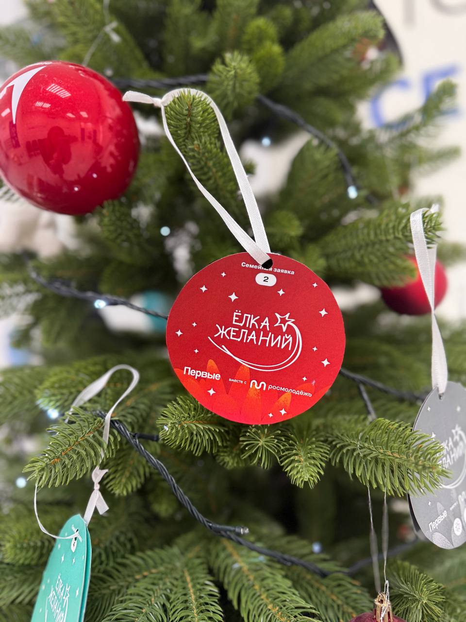 Мария Литовко: Исполнила мечту двух детей - вручила им подарки накануне Нового года, в этом мне помогла российская компания USM