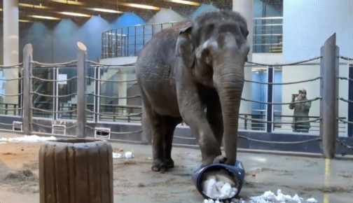 � ������ ����� ������������ ������� ���������