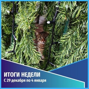 ������������ ������������. ������� ������ � 30 ������� 2025 �� 4 ������ 2026 ����