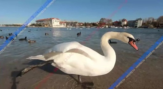 ���, ��� ����� ������� ��������� ����, ������� ������ � ������� �����, ������ ������������� ����������� ������