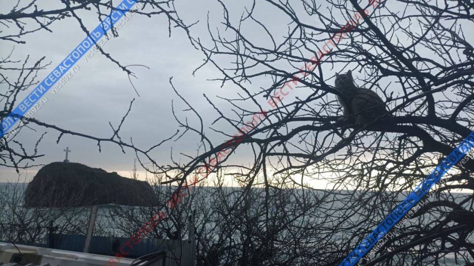 Сегодня в Севастополе. Облачно, небольшой дождь