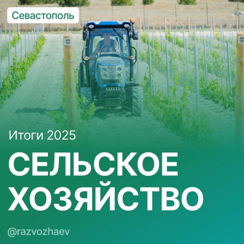 Михаил Развожаев: Итоги 2025 года в сельском хозяйстве Севастополя