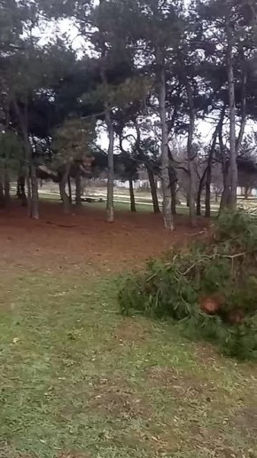 #���_�����. � ������ 200-����� �����������, ��� ����� ��. �������� �������� � ��. ������, ��������� ����������� �����: ���������� ��������������� ����� ������� � ����� ����� ���������� �� ����� ������